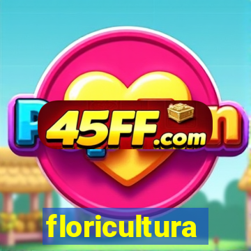 floricultura juazeiro bahia